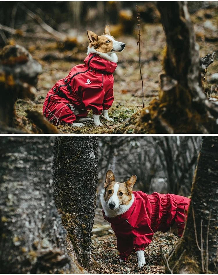 Dog Raincoat