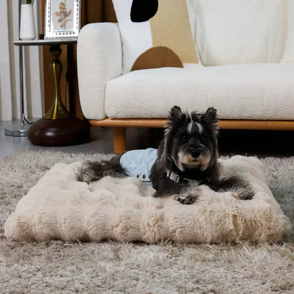 TechnuPet Dog Bed Plush Dog Bed