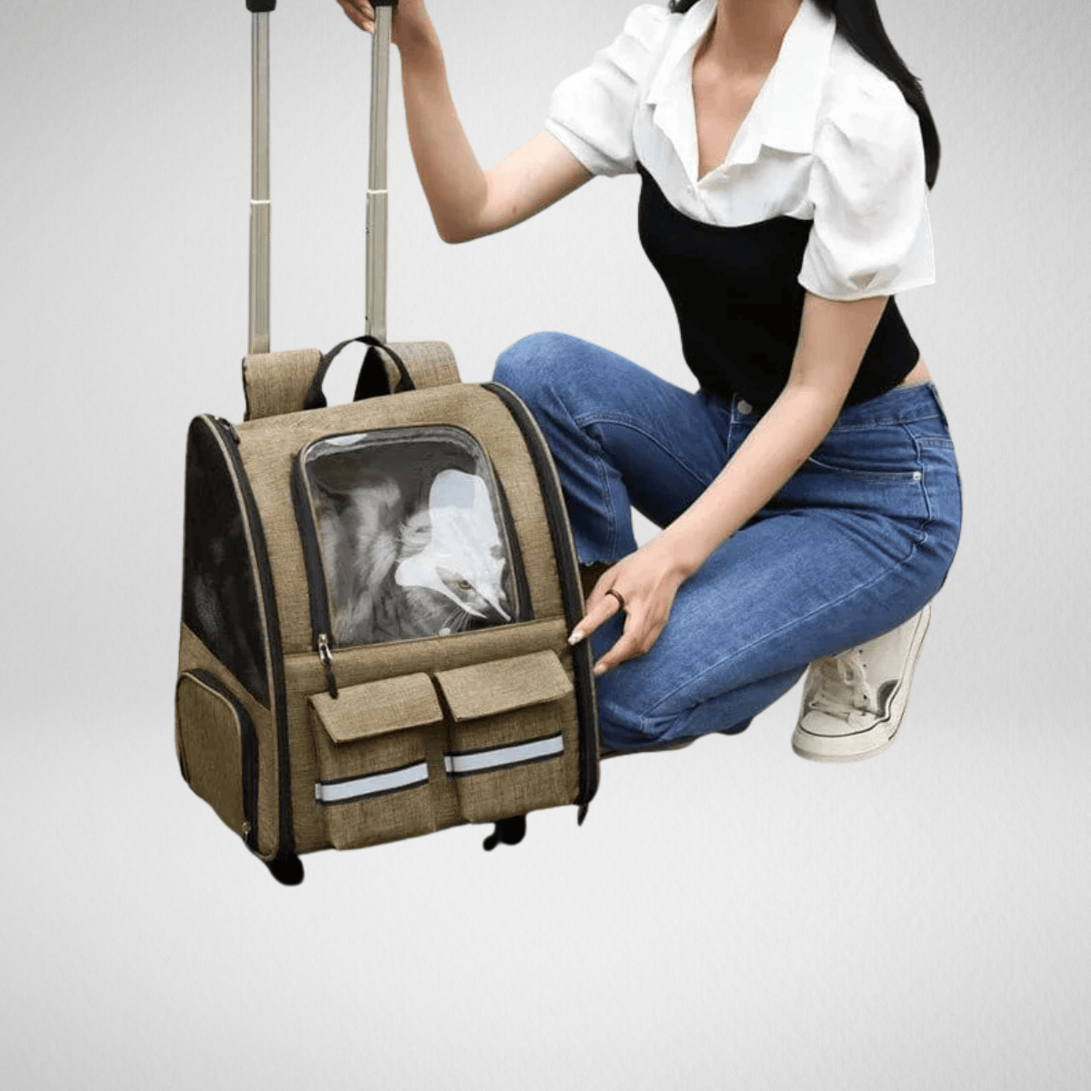 TechnuPet Pull rod style 2 Portable Cat Carrier