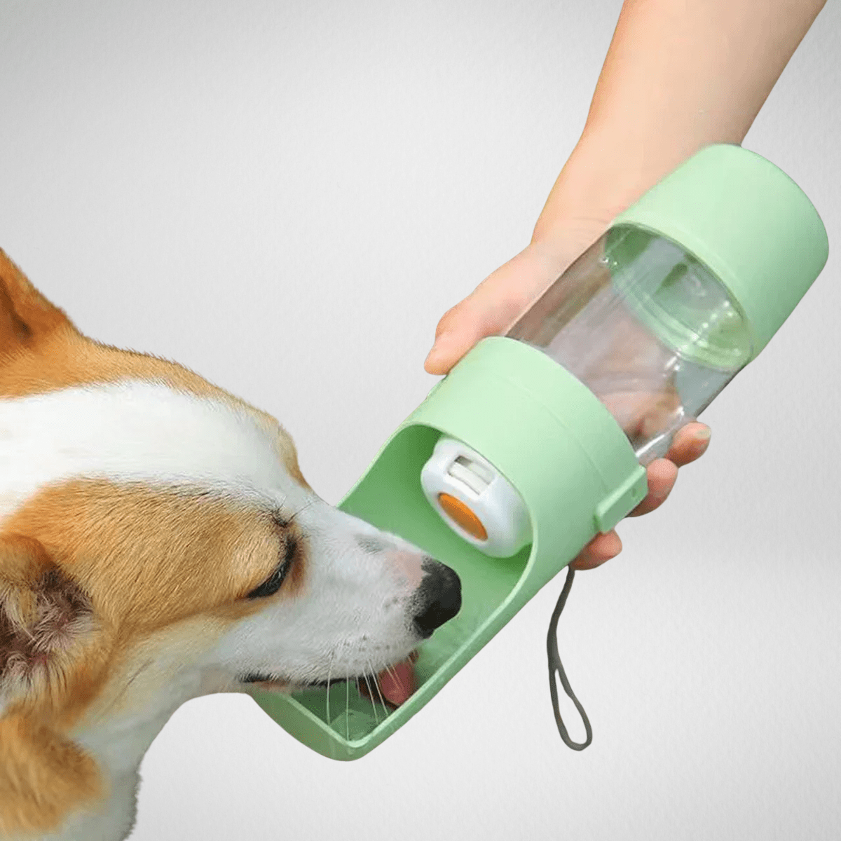 TechnuPet Smart Cat Feeder Portable Pet Water Bottle with Food Storage