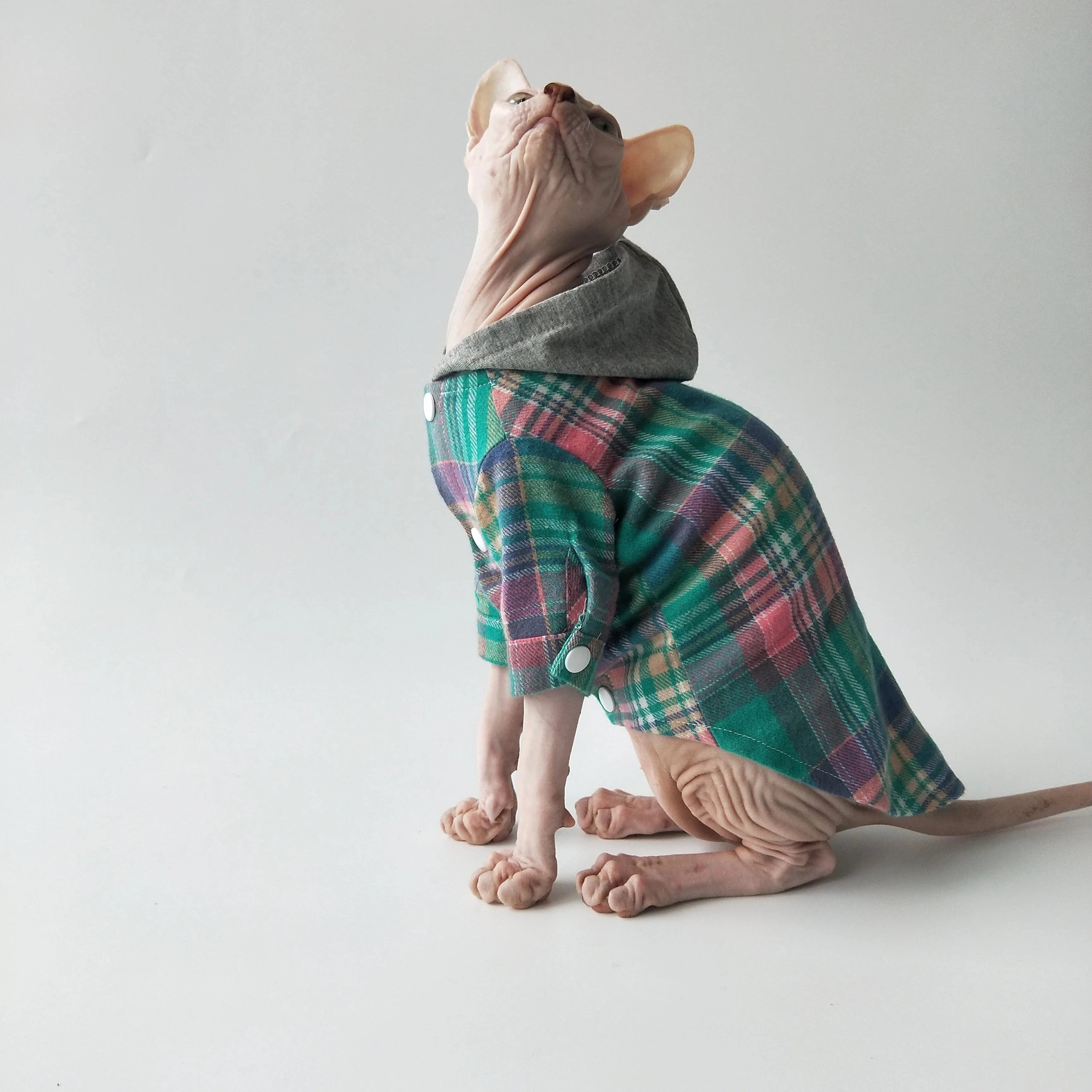 Sphynx Cat Sweater