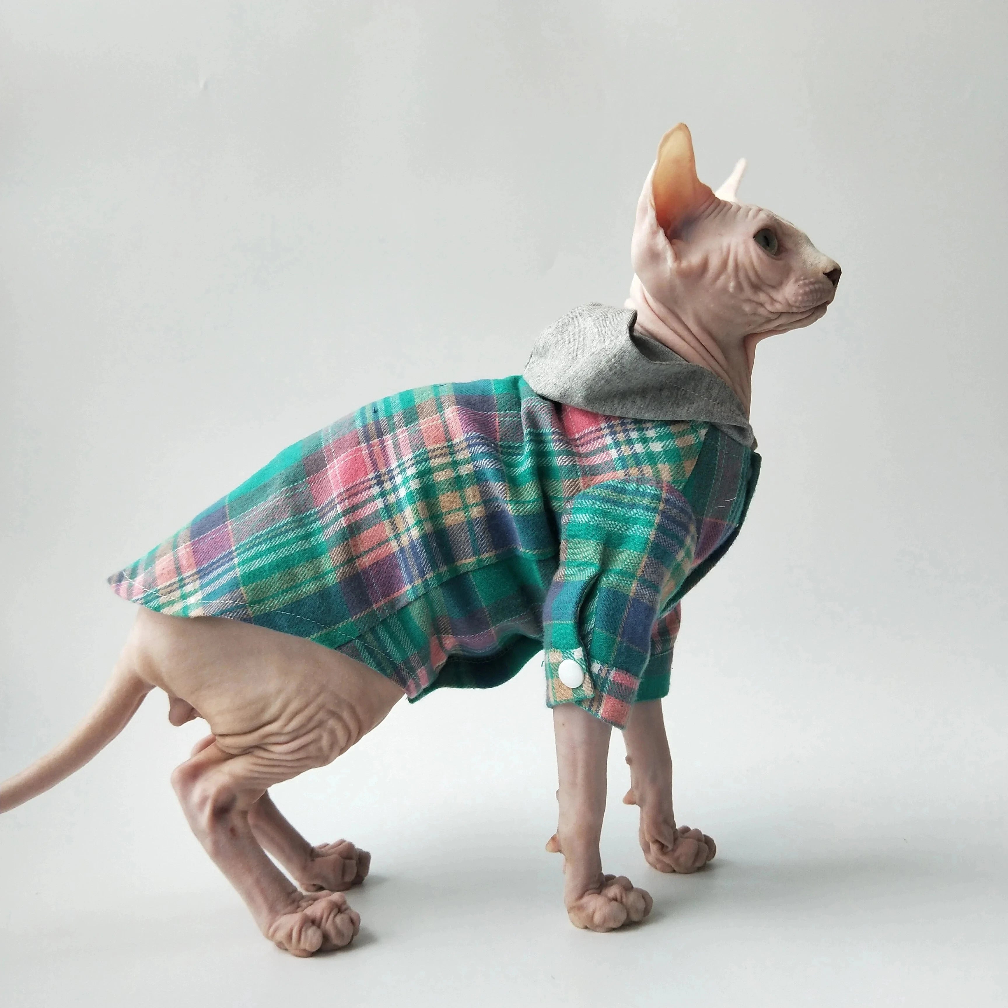 Sphynx Cat Sweater