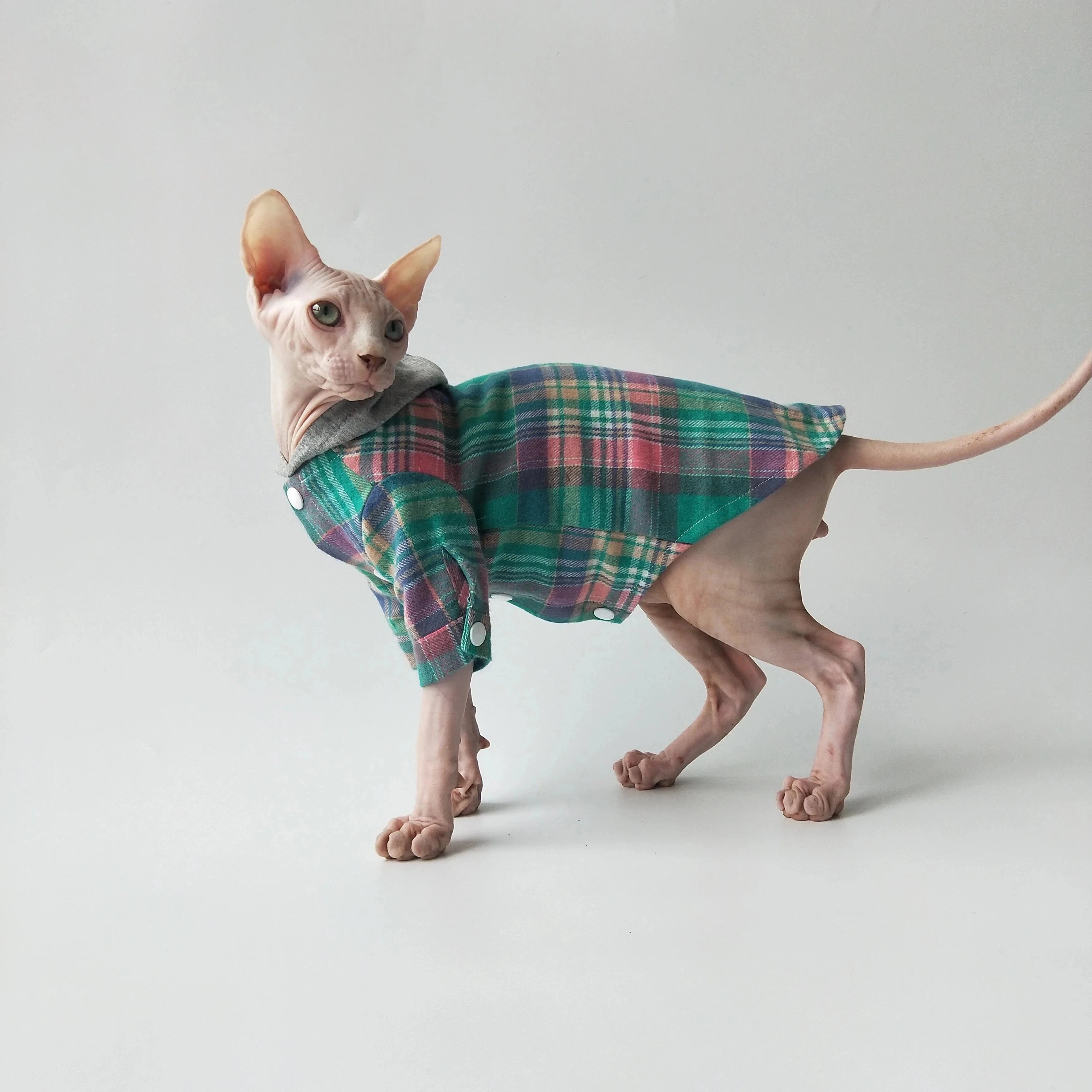 Sphynx Cat Sweater