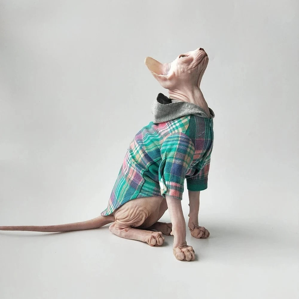 Sphynx Cat Sweater