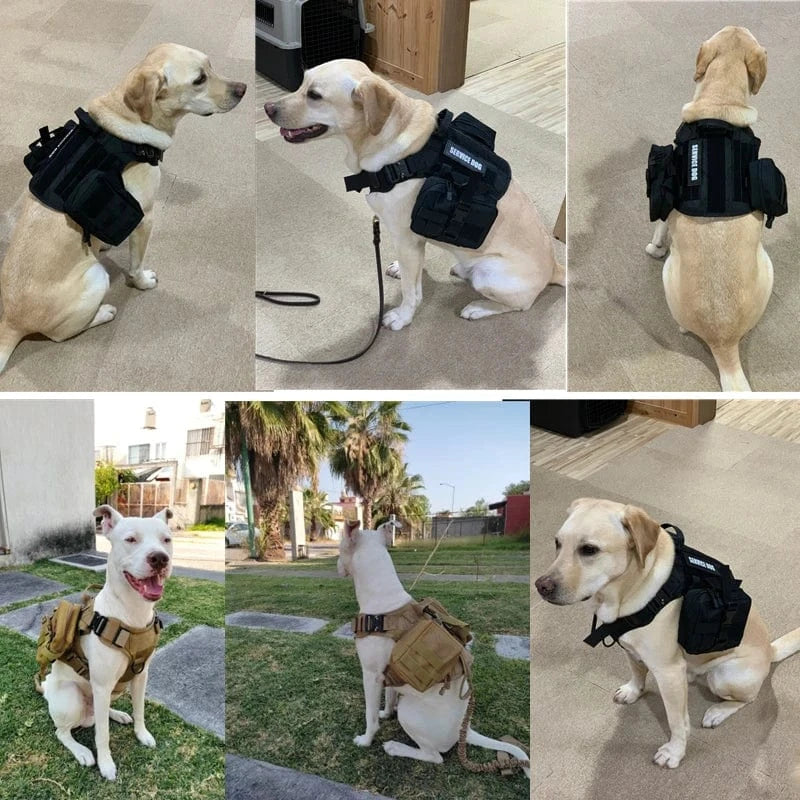 Tactical Military Dog Harness