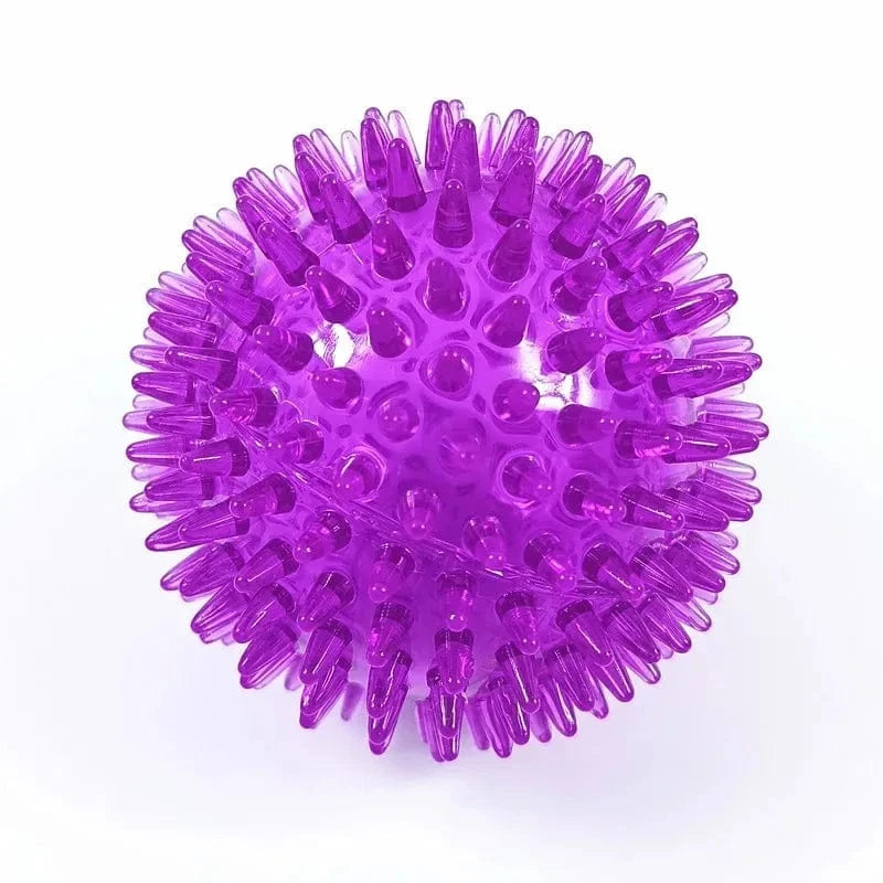 TechnuPet Dog Toys Purple / S-6.5CM TPR Squeaky Spiky Ball