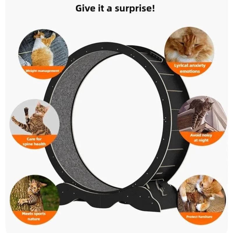 TechnuPet Smart Cat Toys XL Wooden Cat Treadmill Exercise Roller