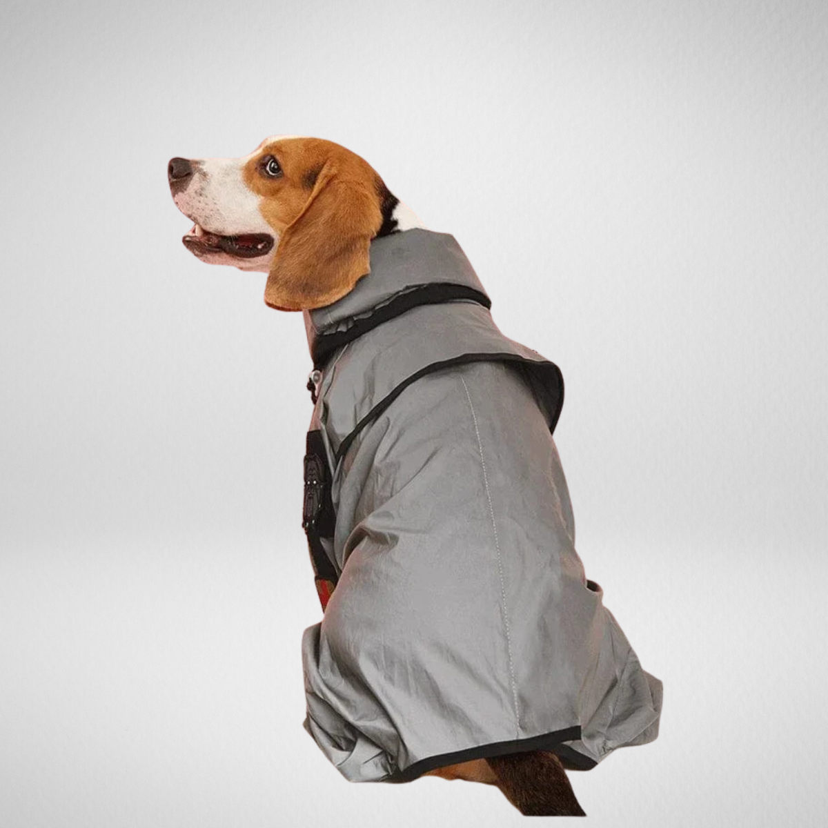 Grand imperméable pour chien