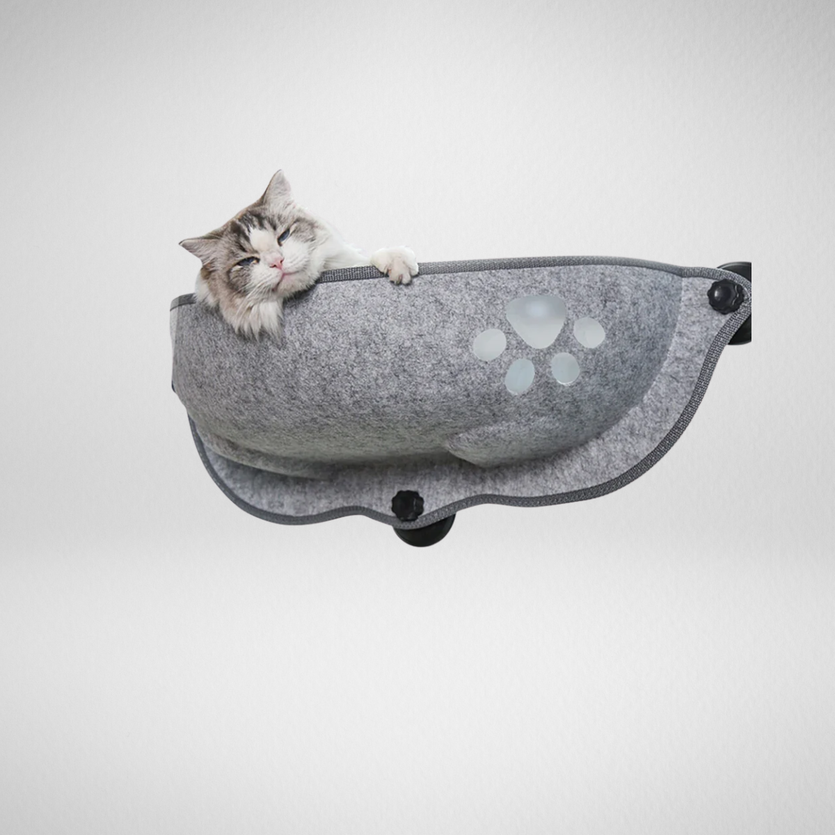 Window Grey Cat Hammock