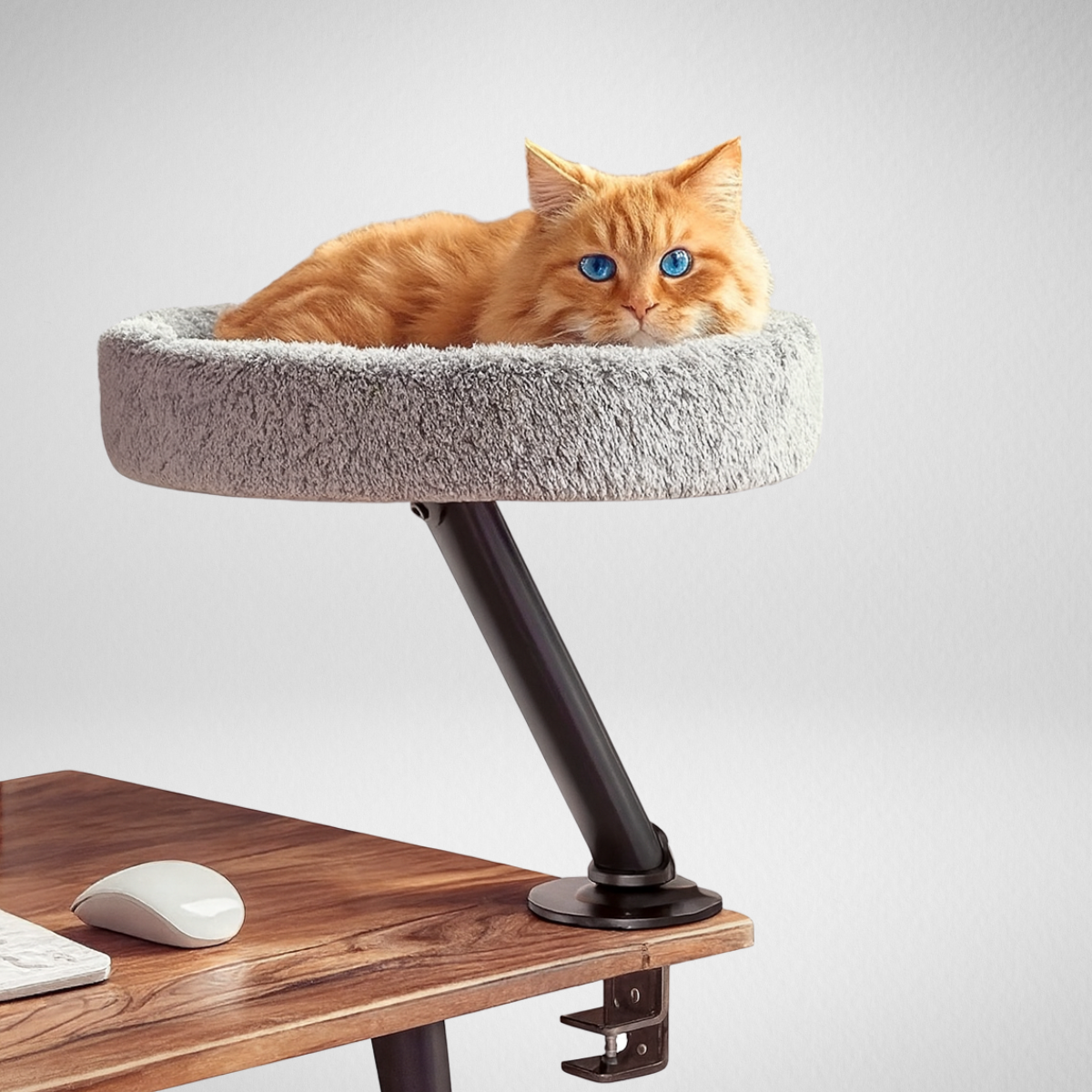 Desk Cat Hammock Bed