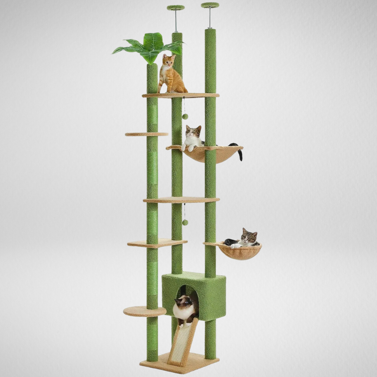Arbre à chat ajustable du sol au plafond