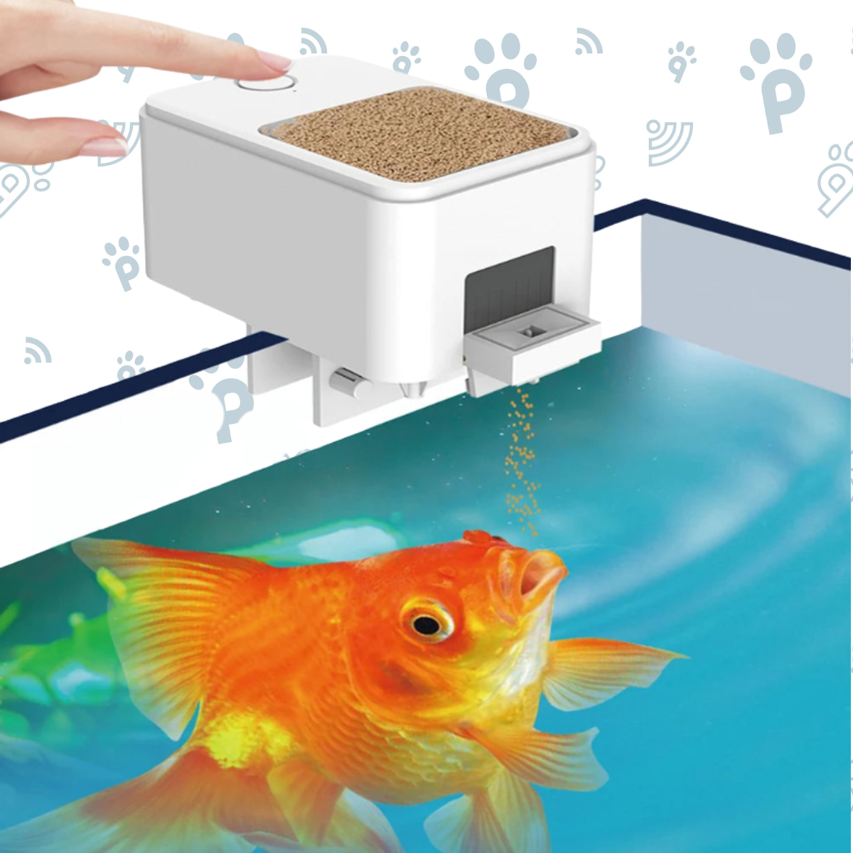 Distributeur de nourriture pour poissons
