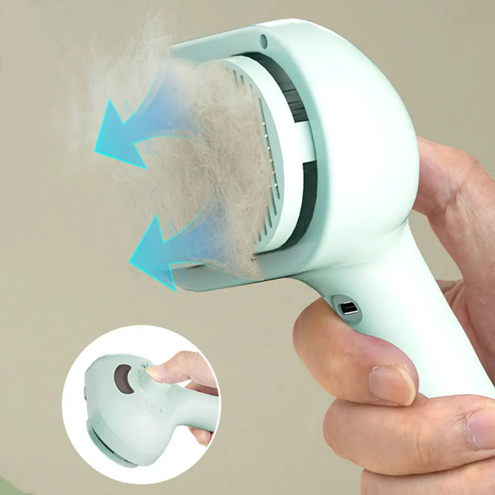 3-in-1 Cat Steam Brush