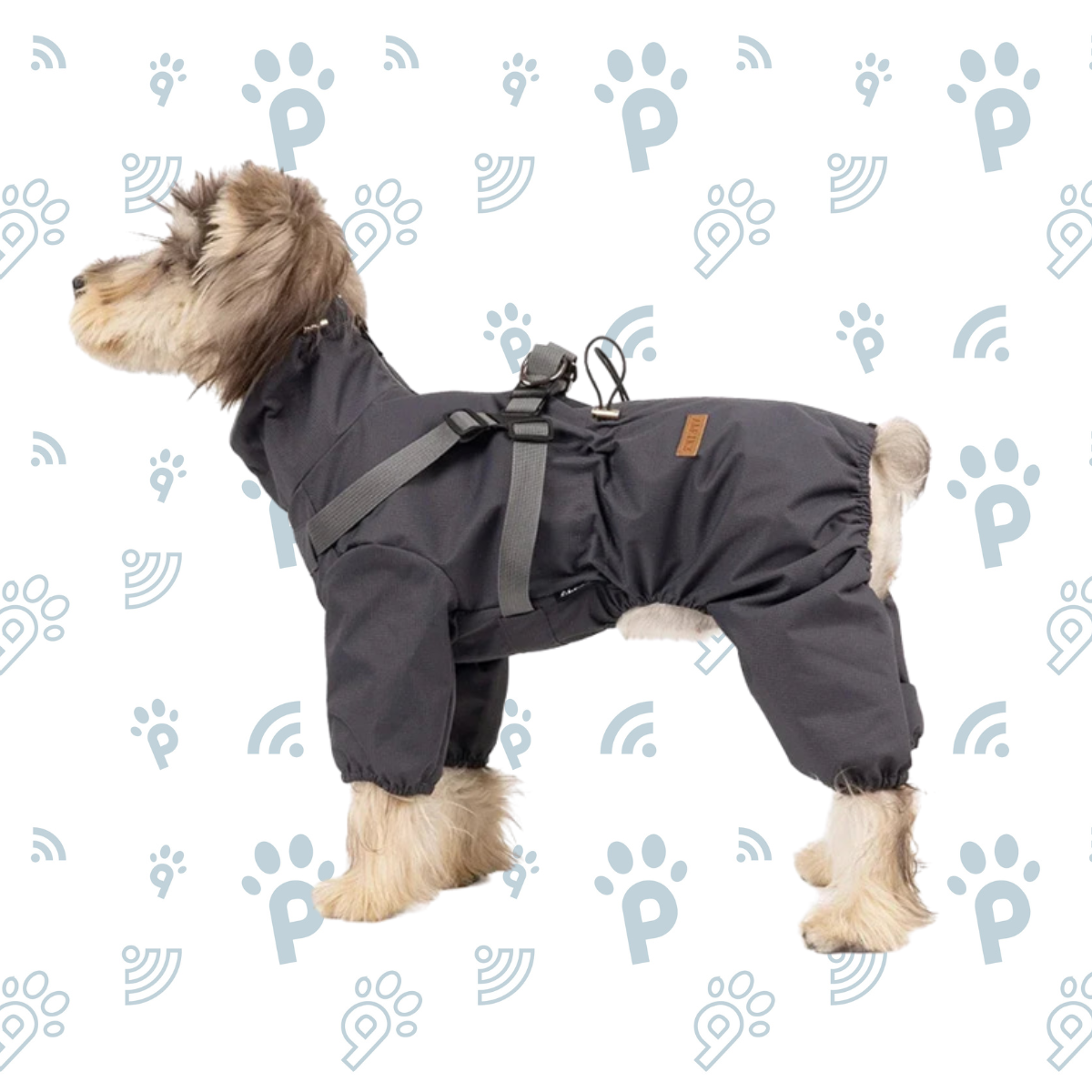 Imperméable avec harnais intégré pour chien