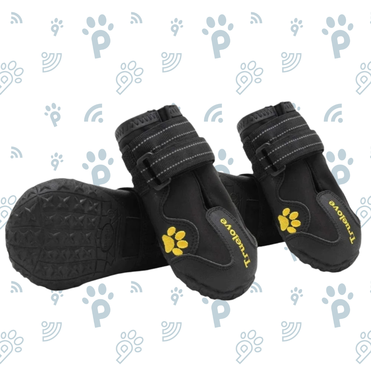 Bottes chaudes pour chien