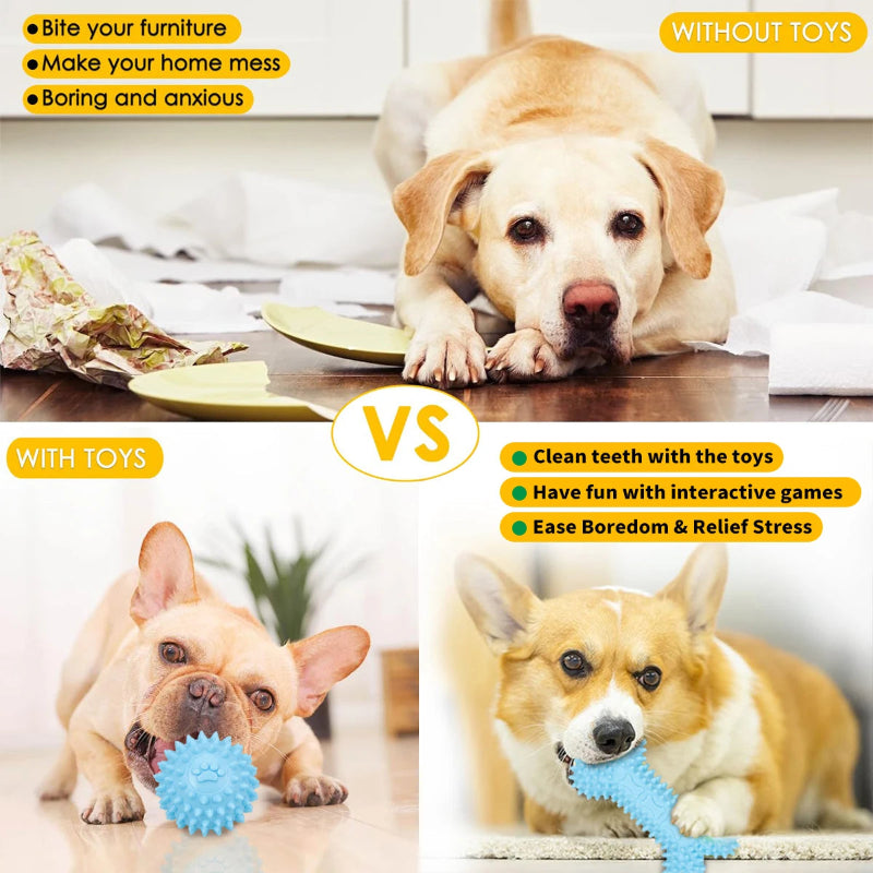 5-Pack Plush Dog Toys