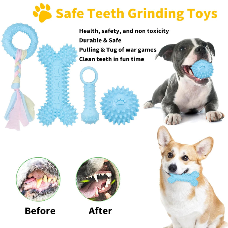 5-Pack Plush Dog Toys