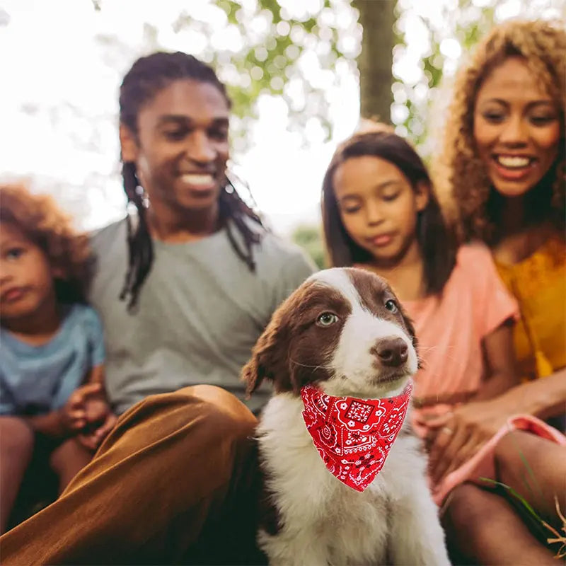 Adjustable Dog & Cat Bandana
