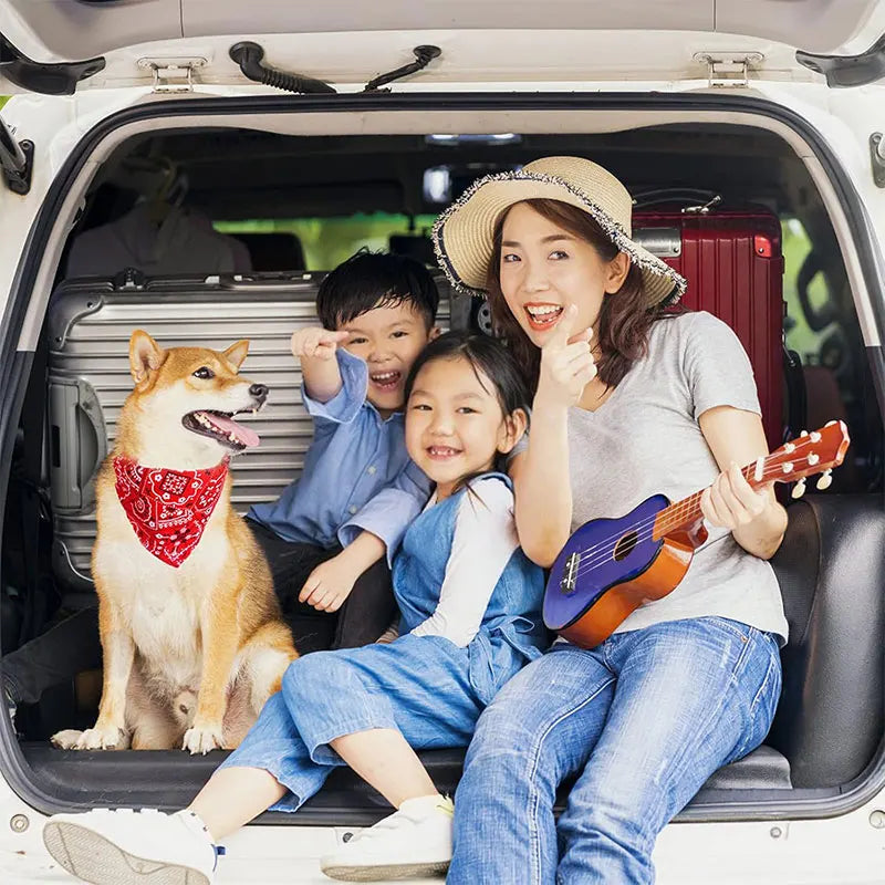 Adjustable Dog & Cat Bandana