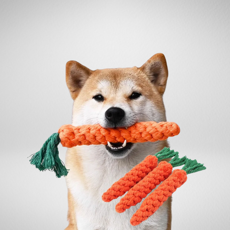 Carrot Rope Dog Toy