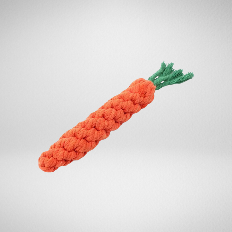 Carrot Rope Dog Toy