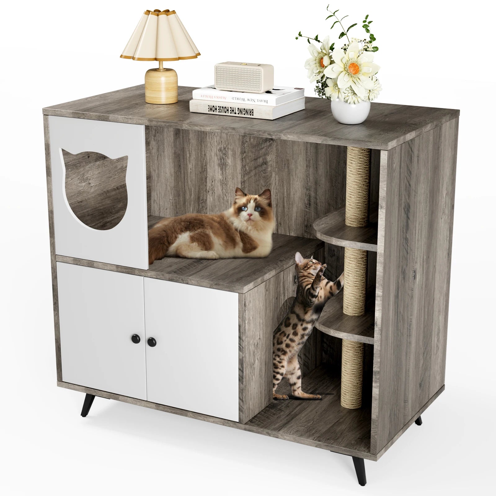 Cat Litter Box Cabinet