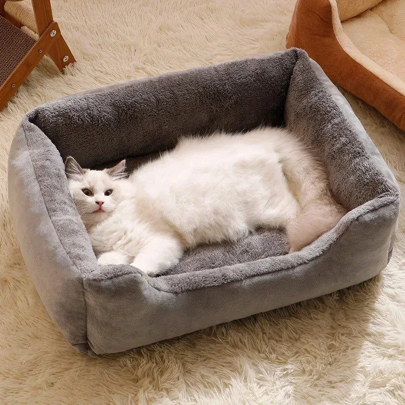 Cozy Cat Bed & Cushion