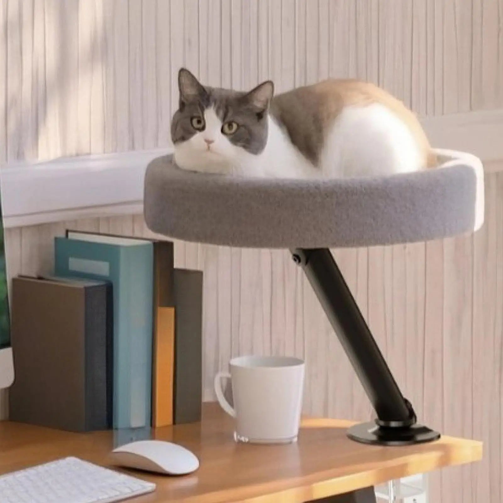 Desk Cat Hammock Bed
