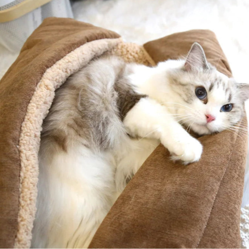 Foldable Cat Bed Mat