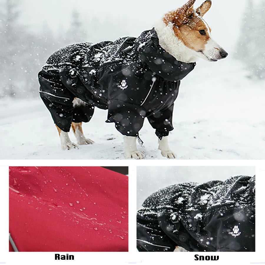 Imperméable pour chien