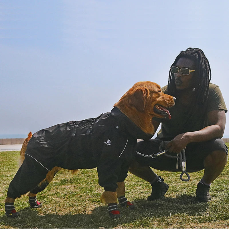 Imperméable pour chien