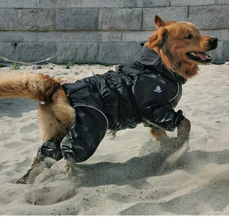 Imperméable pour chien