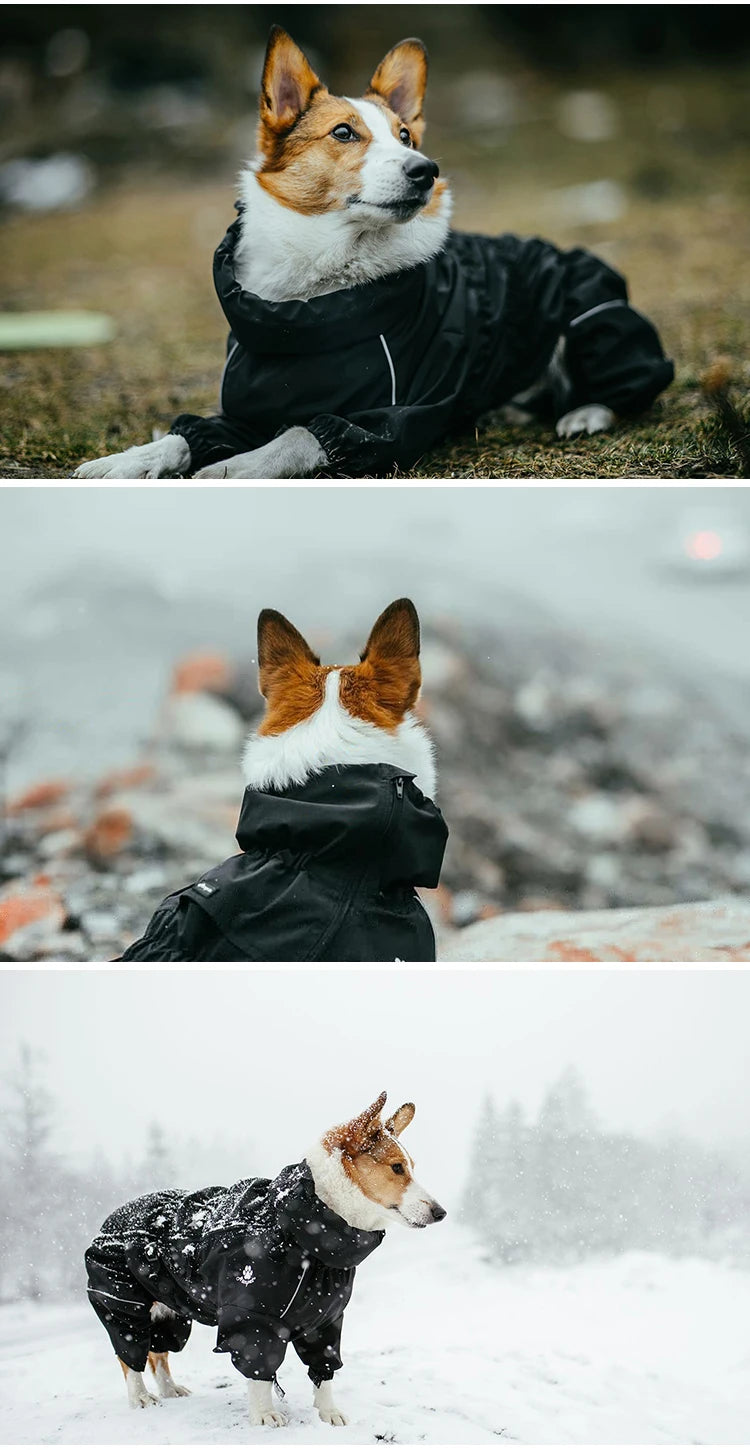 Imperméable pour chien