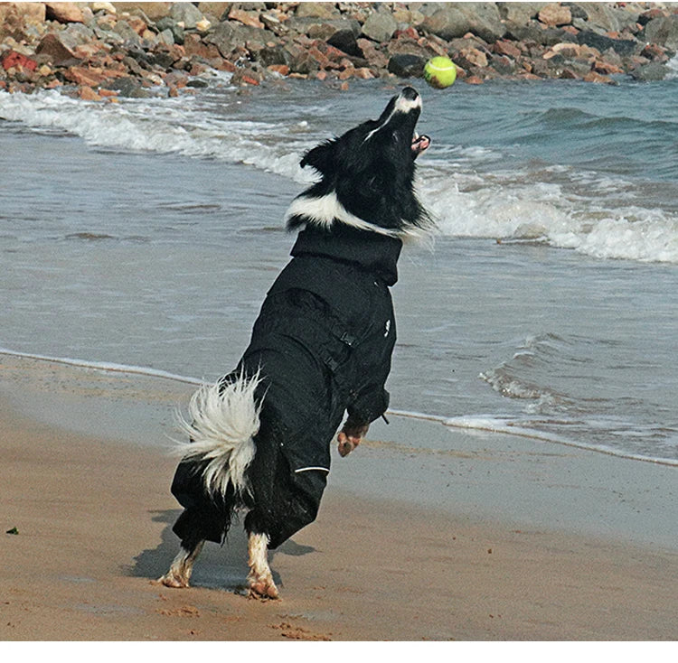 Imperméable pour chien