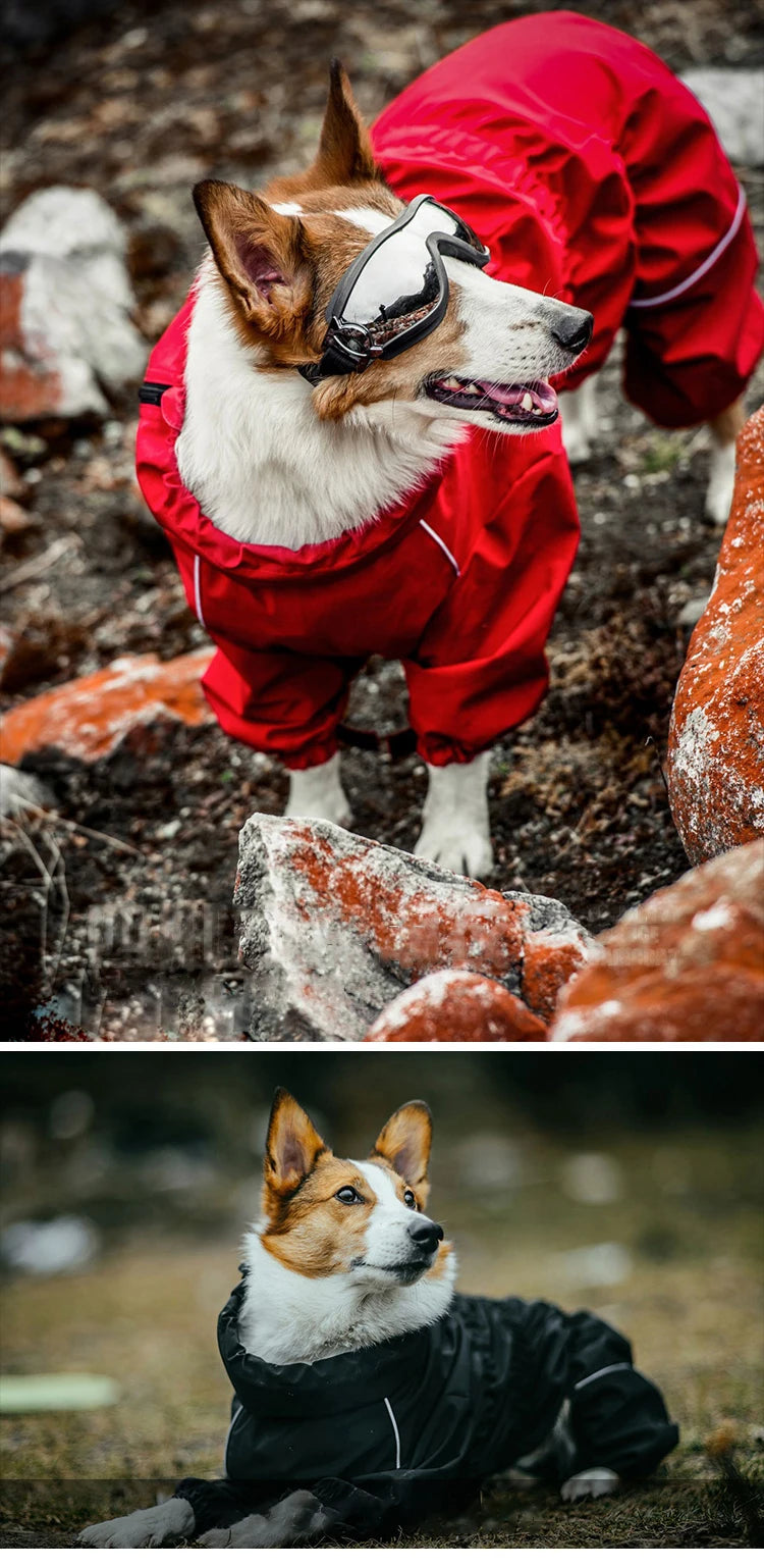 Imperméable pour chien