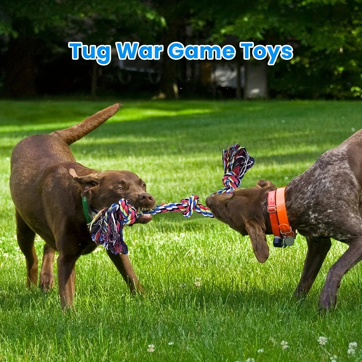 Indestructible Rope Dog Toy