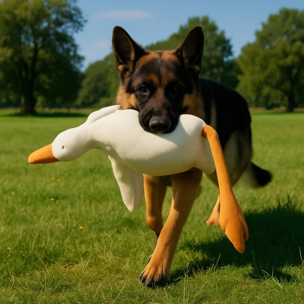 Large Plush Duck Dog Toy