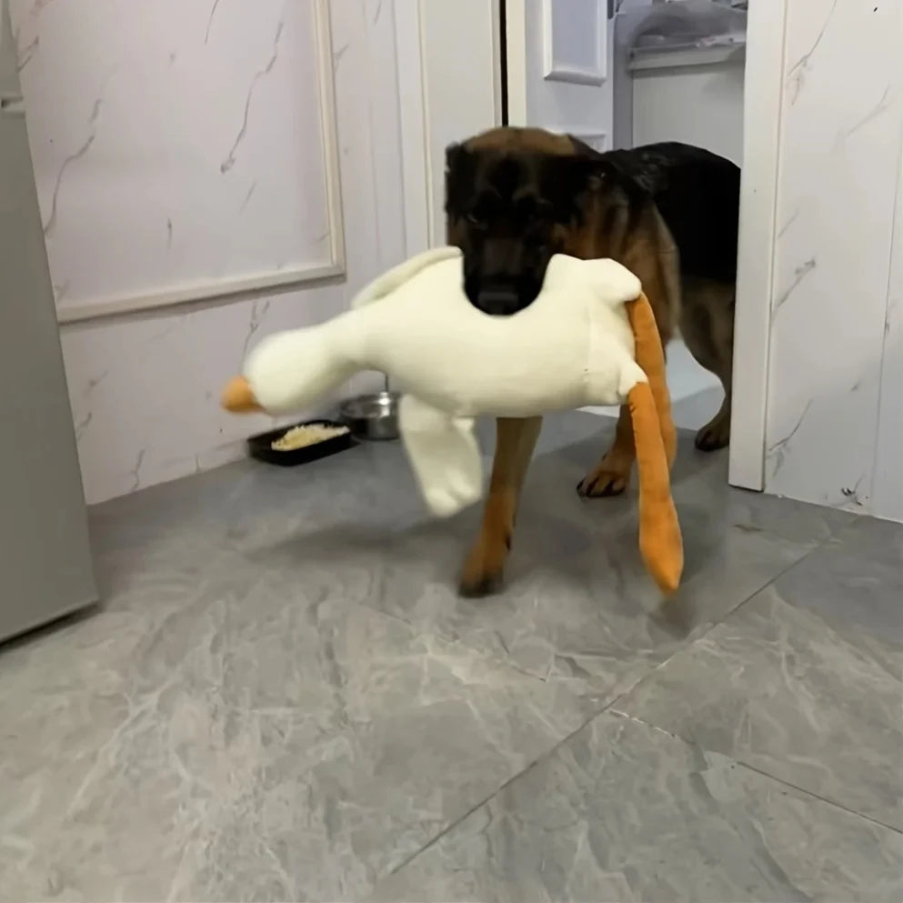 Large Plush Duck Dog Toy