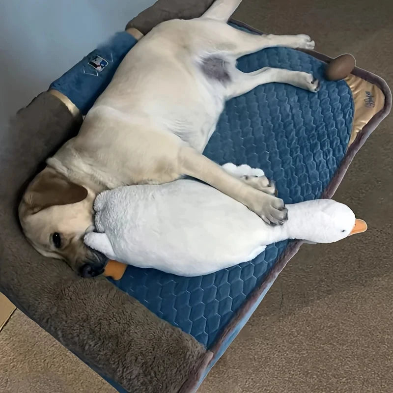 Large Plush Duck Dog Toy