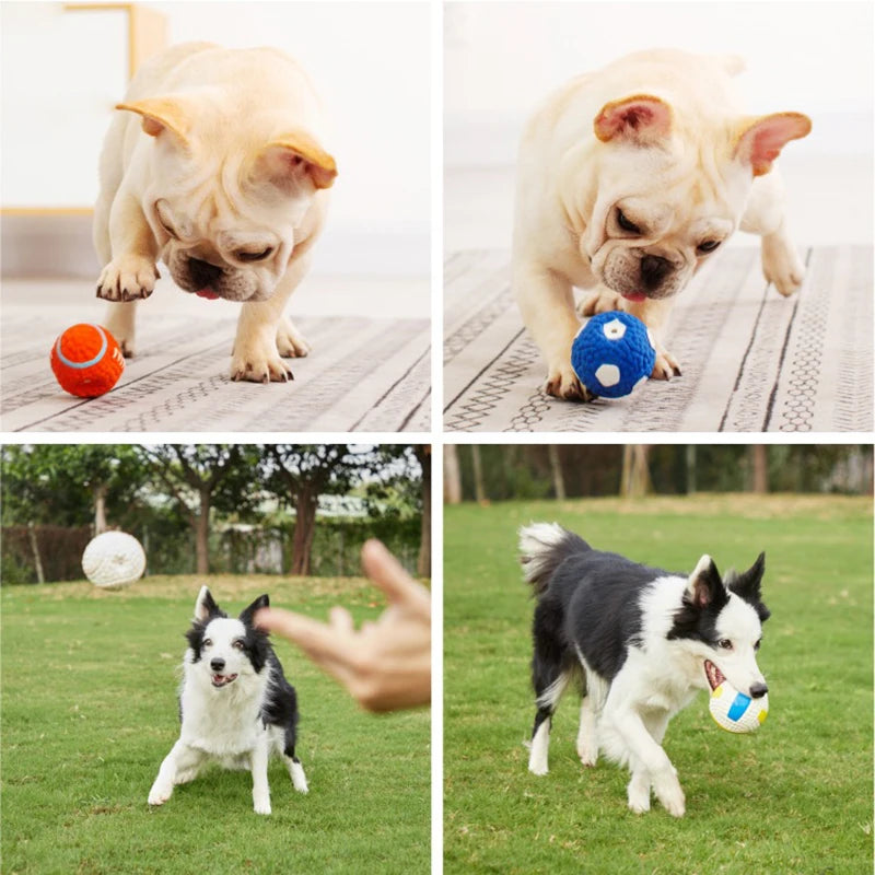 Latex Sports Ball Squeaky Dog Toy