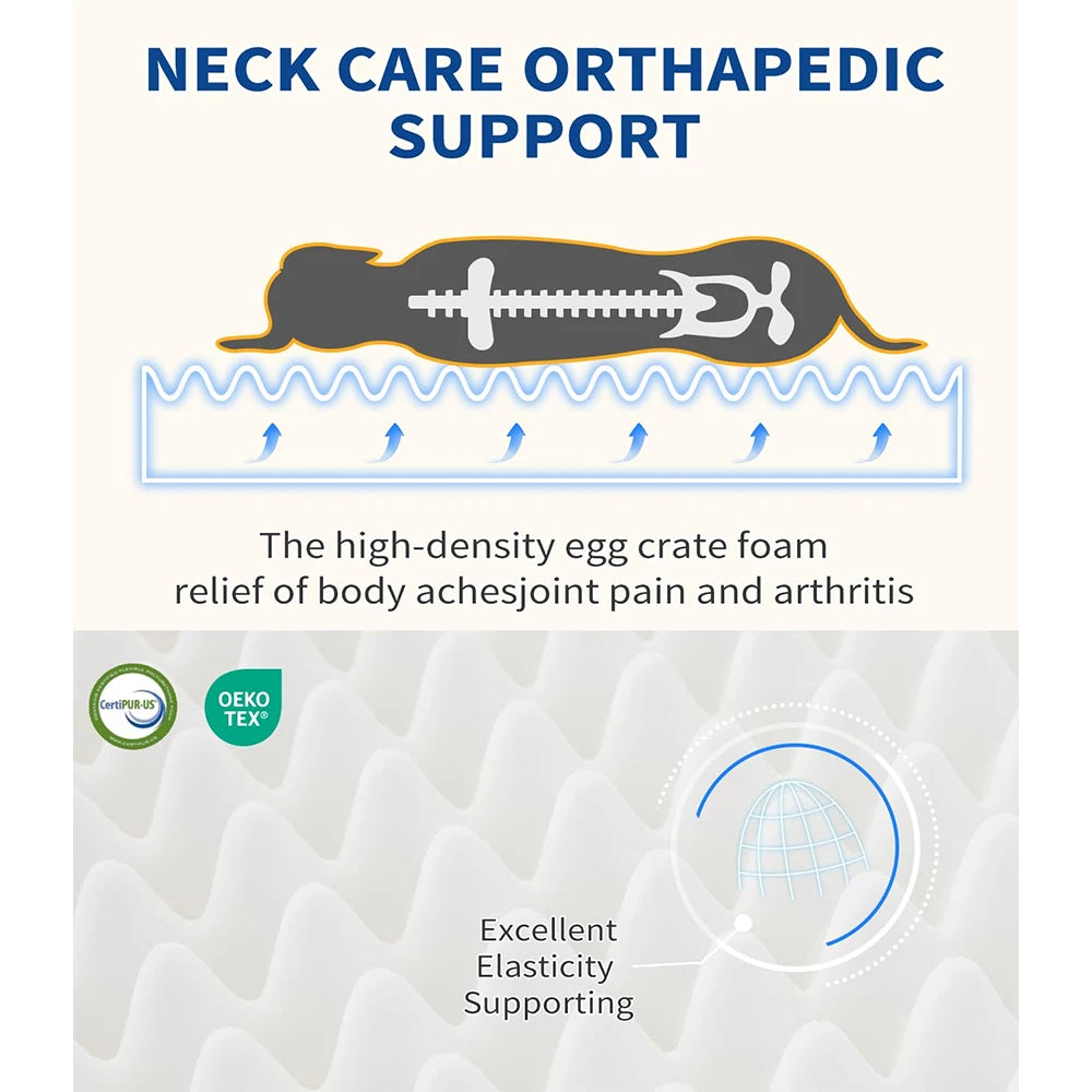 Orthopedic Small Dog Bed