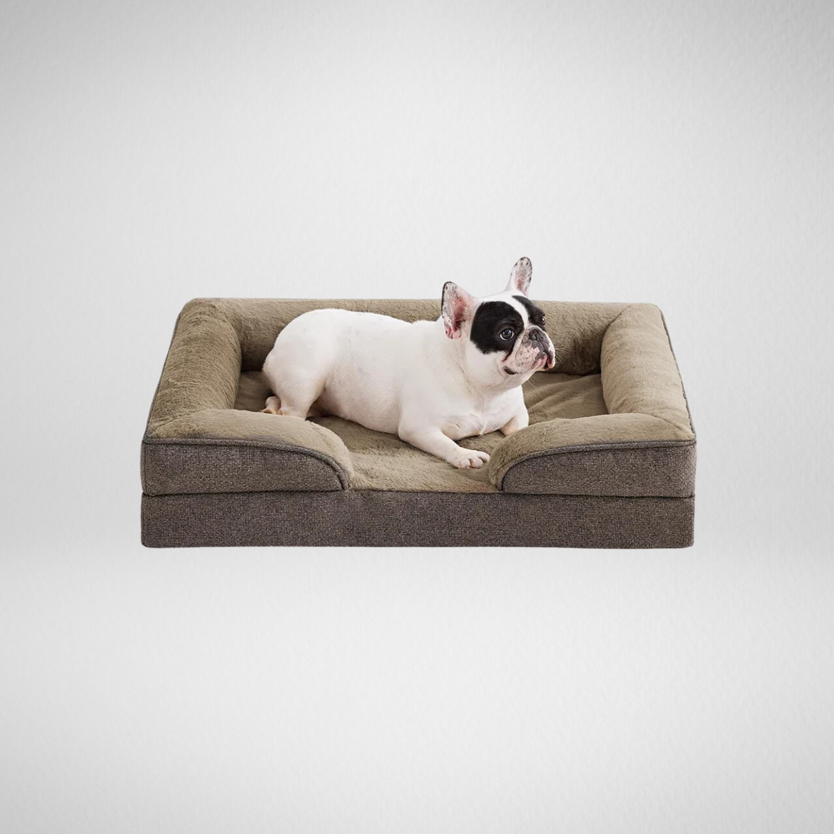 Orthopedic Small Dog Bed