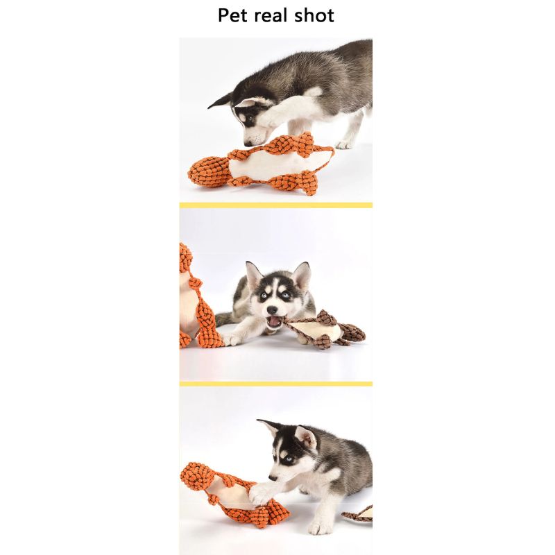 Plush Dinosaur Squeaky Dog Toy