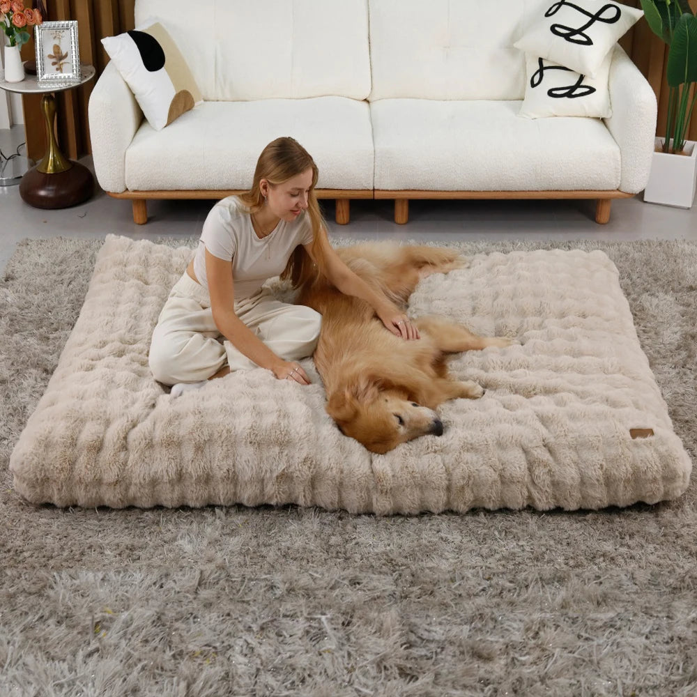 Plush Dog Bed