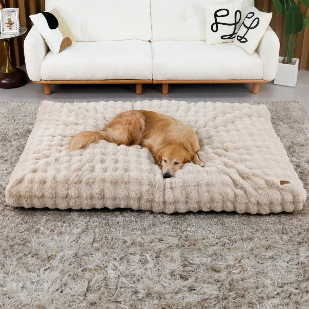 Plush Dog Bed