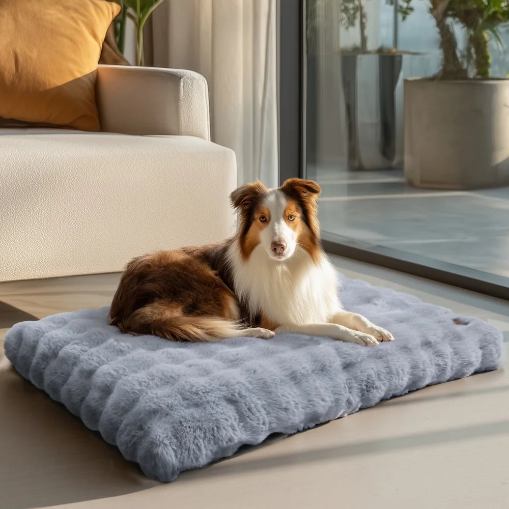Plush Dog Bed