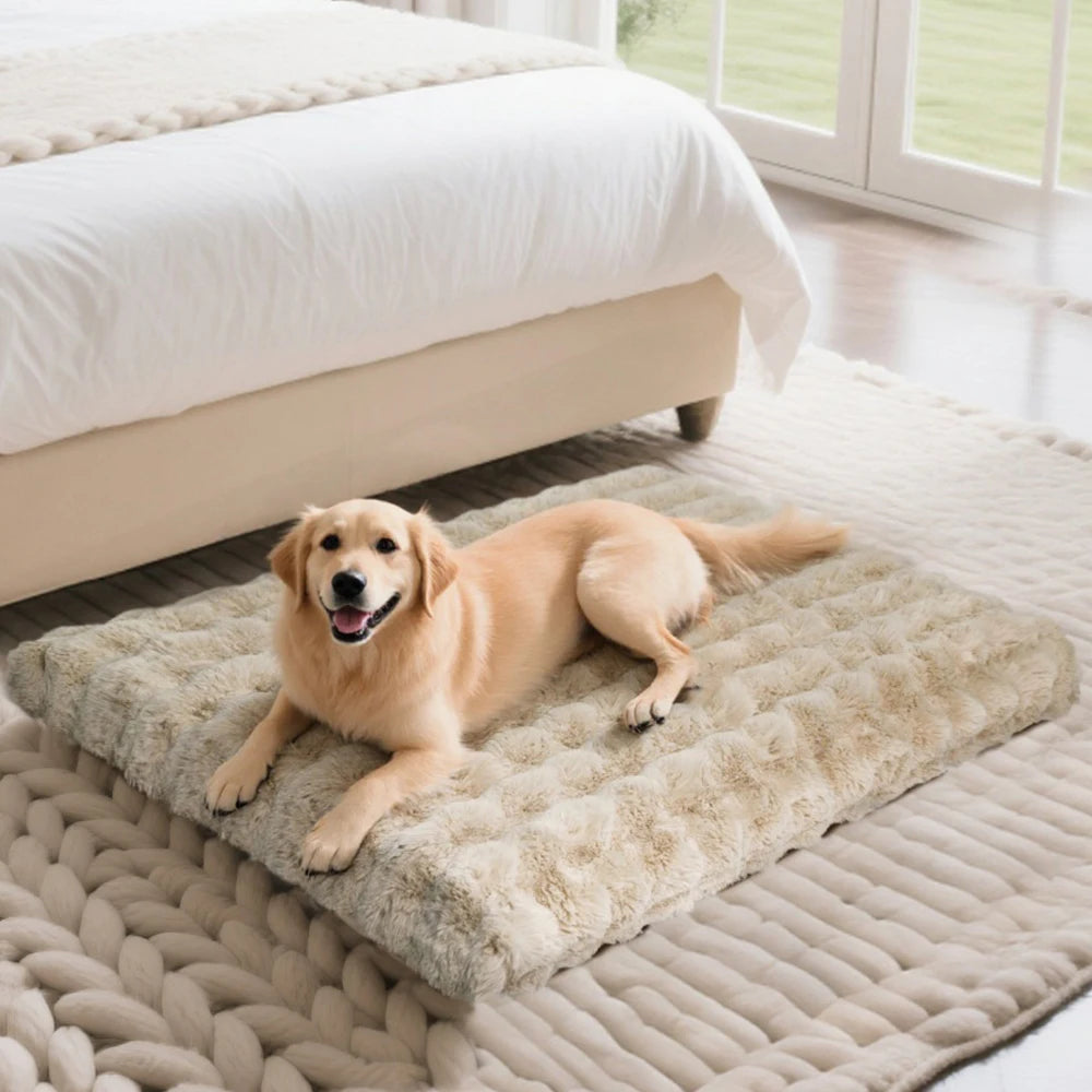 Plush Dog Bed
