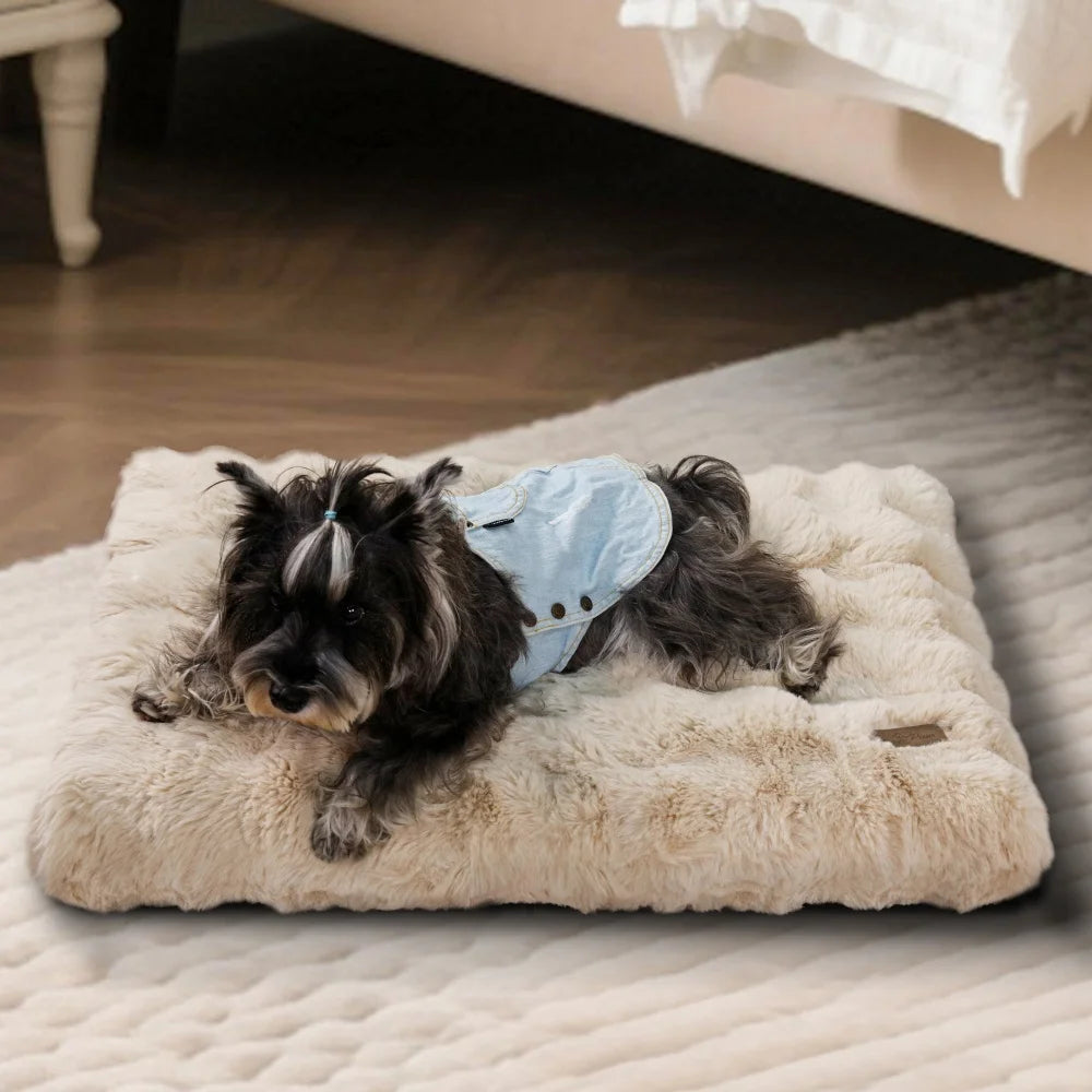 Plush Dog Bed