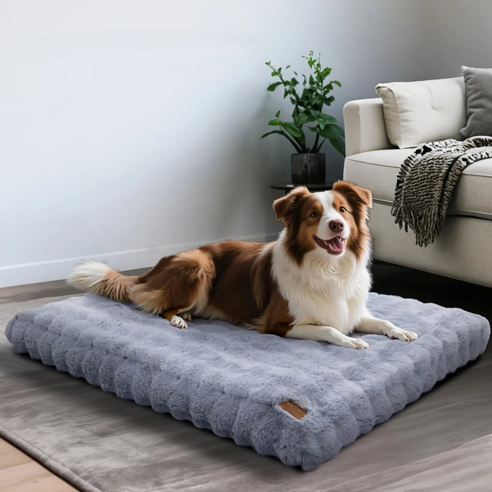 Plush Dog Bed
