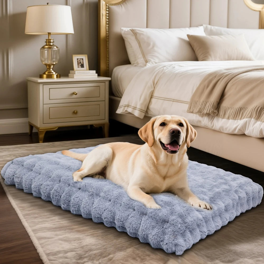 Plush Dog Bed